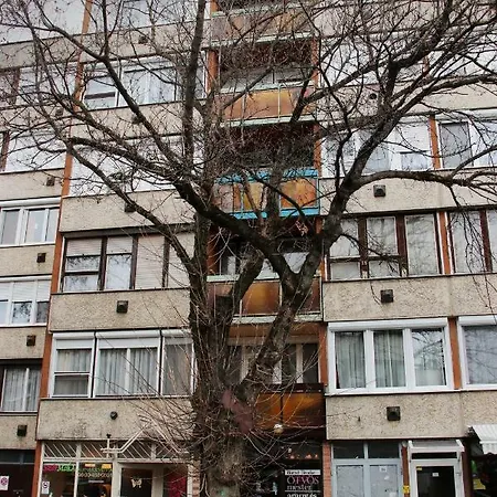 Levendula * Gödöllő